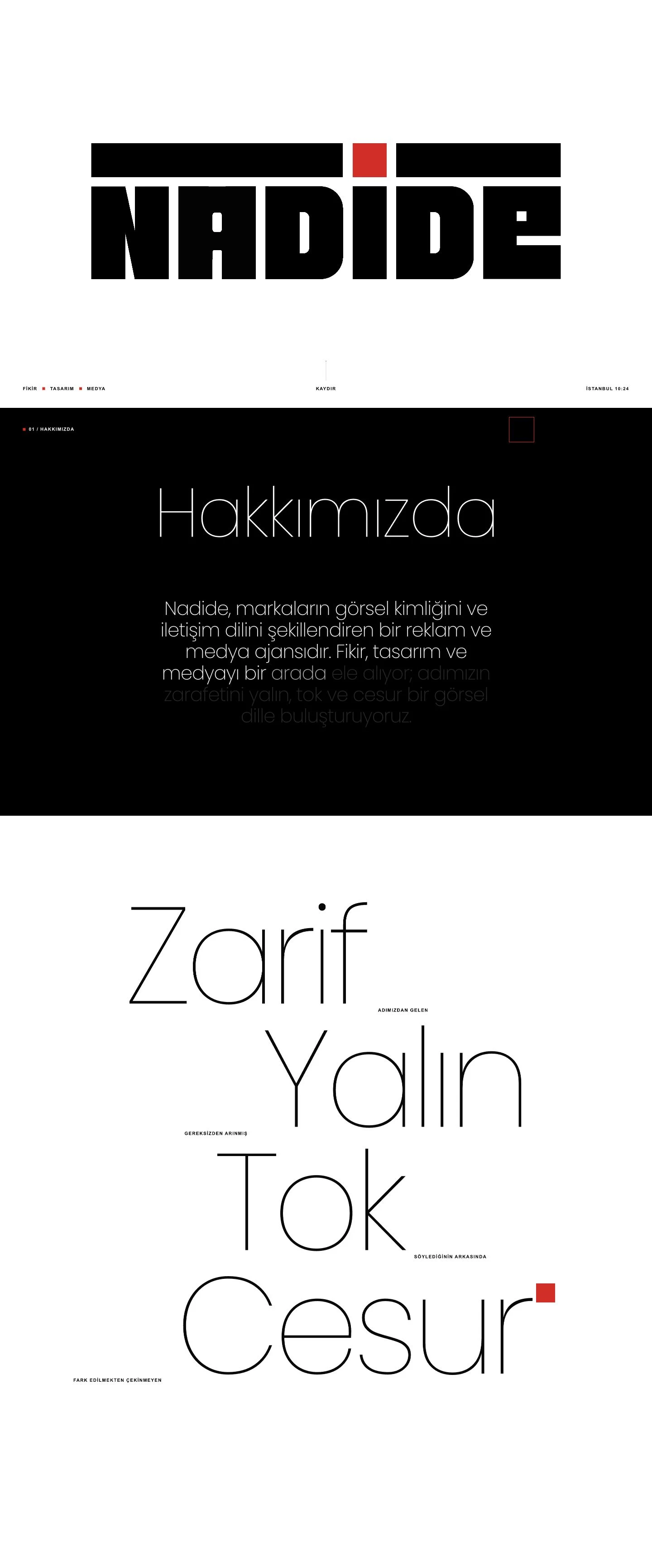 Nadide website, home page